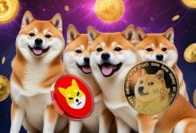 dogecoin-(doge)-to-$2-and-shiba-inu-(shib)-to-$0.0002-will-bring-solid-gains,-but-which-crypto-will-be-this-cycle’s-millionaire-maker?