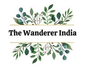 discover-the-hidden-gems-of-india:-unforgettable-journeys-with-the-wanderer-india